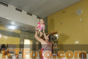 Photo 4303590