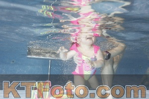Photo 4303627