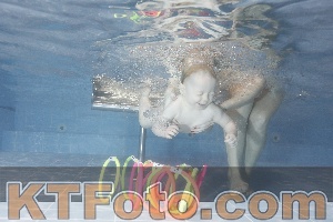 Photo 4303628