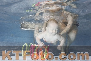 Photo 4303629
