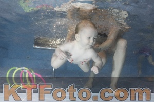 Photo 4303651