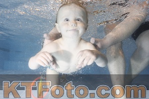 Photo 4303654