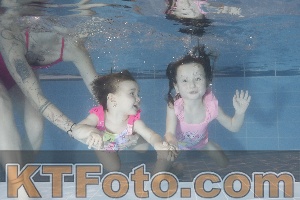 Photo 4303686