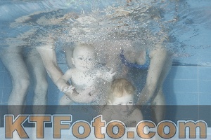 Photo 4303691