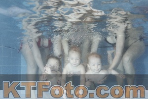 Photo 4303702