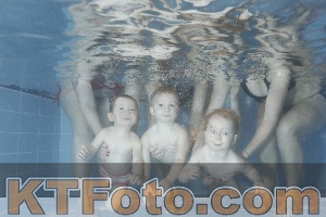 Photo 4303704