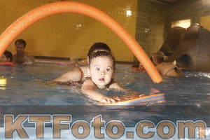 Photo 4303750