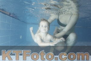 Photo 4303815