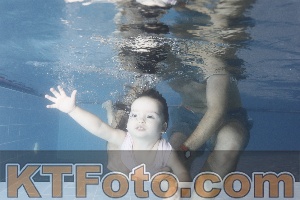 Photo 4303817