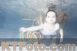 Photo 4303874
