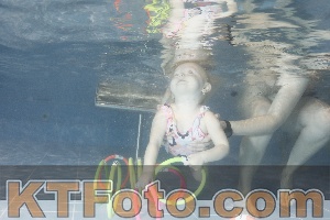 Photo 4303878