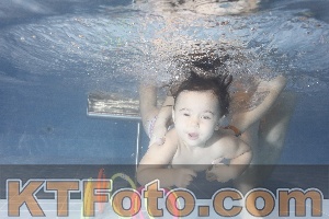 Photo 4303884
