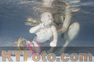 Photo 4303889