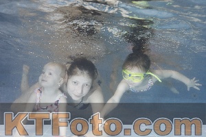 Photo 4303920