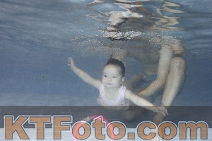 Photo 4303924