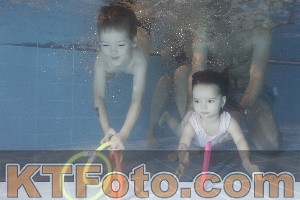 Photo 4303942