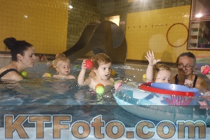 Photo 4304011