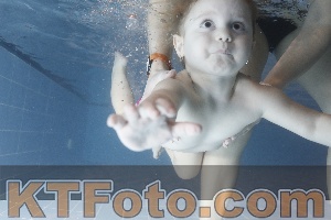 Photo 4304024