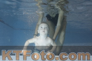 Photo 4304025