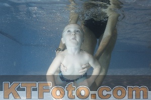 Photo 4304026