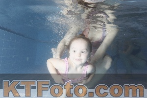 Photo 4304028