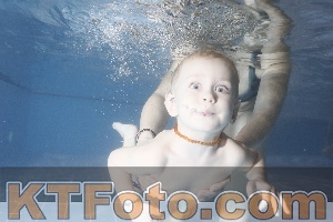 Photo 4304030