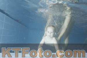 Photo 4304035