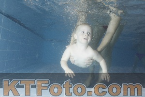 Photo 4304036