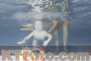Photo 4304085