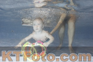 Photo 4304086