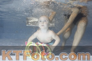 Photo 4304087