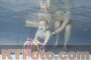 Photo 4304097