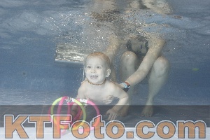 Photo 4304098