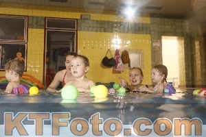 Photo 4304162