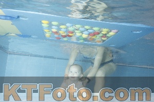 Photo 4304168