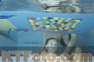 Photo 4304177