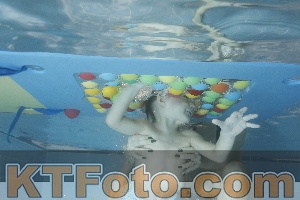 Photo 4304178