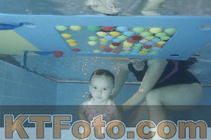 Photo 4304181