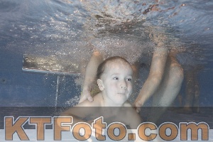 Photo 4304205