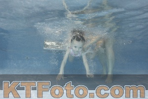 Photo 4304214