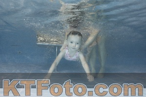 Photo 4304215