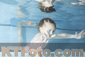 Photo 4304226