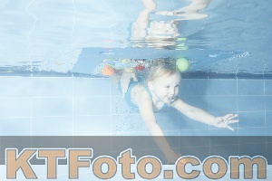Photo 4304227