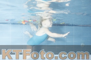 Photo 4304230