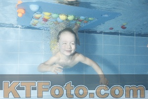 Photo 4304232
