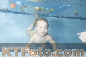 Photo 4304233