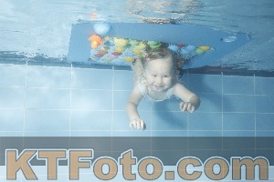Photo 4304235