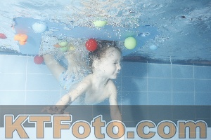 Photo 4304238