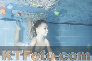 Photo 4304239
