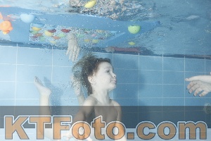 Photo 4304240